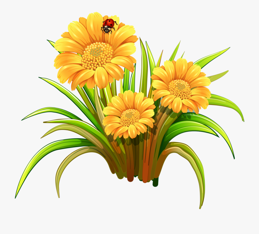 3d Flower Clipart, Transparent Clipart