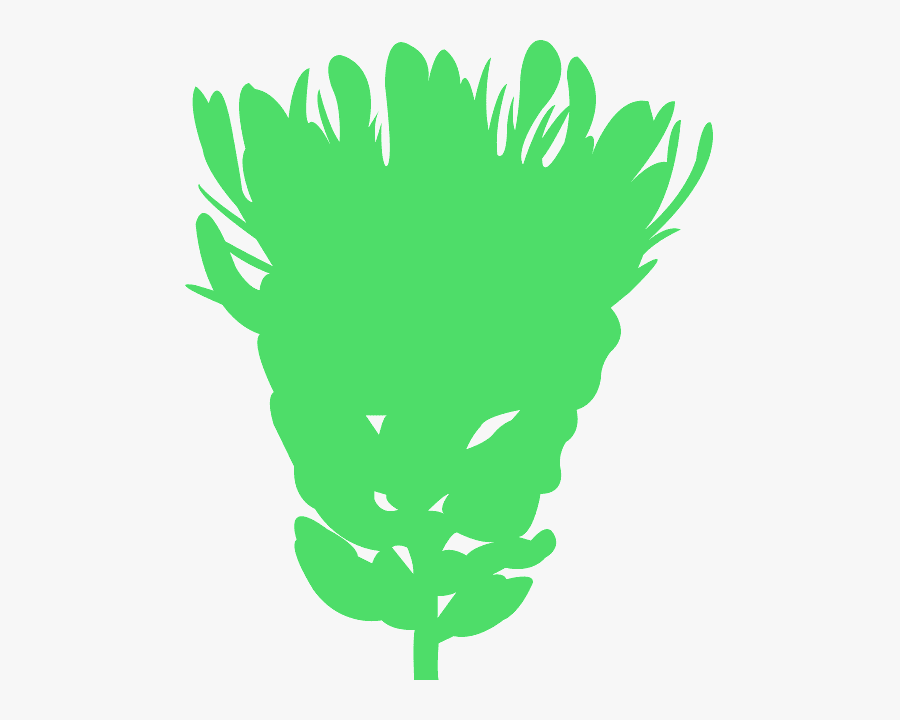 Protea Silhouette, Transparent Clipart