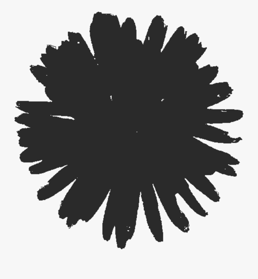 Photography - Circle, Transparent Clipart