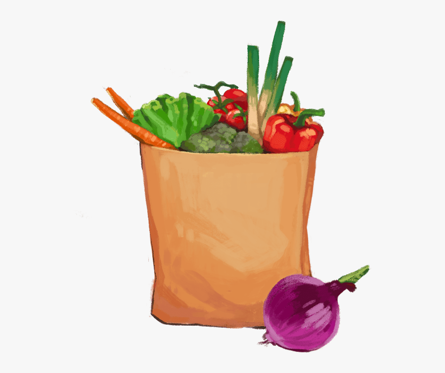 Rose, Transparent Clipart