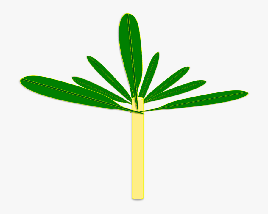 Soil Building Techniques Part, Transparent Clipart