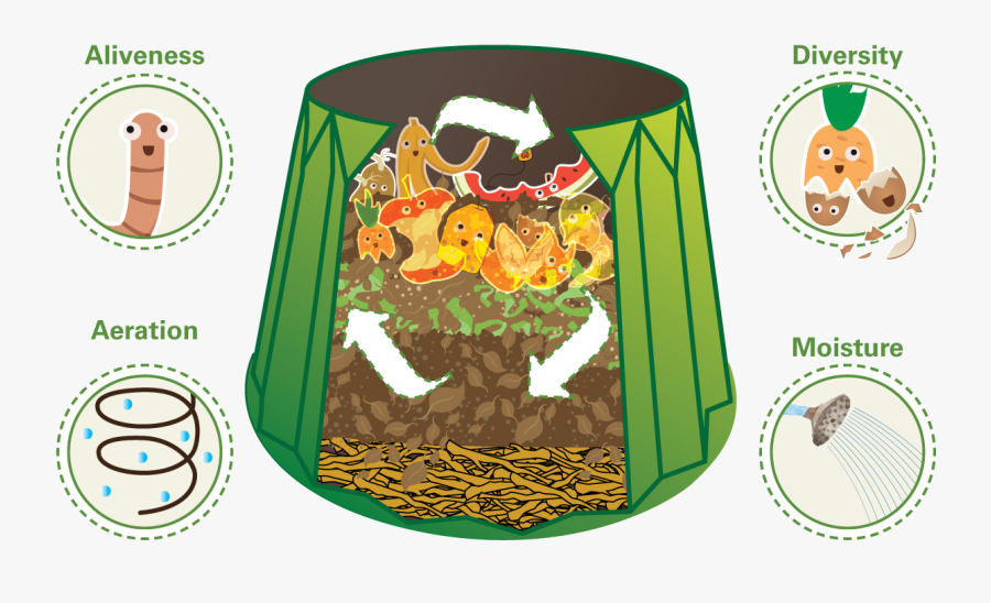 Diversity-key - Cartoon, Transparent Clipart