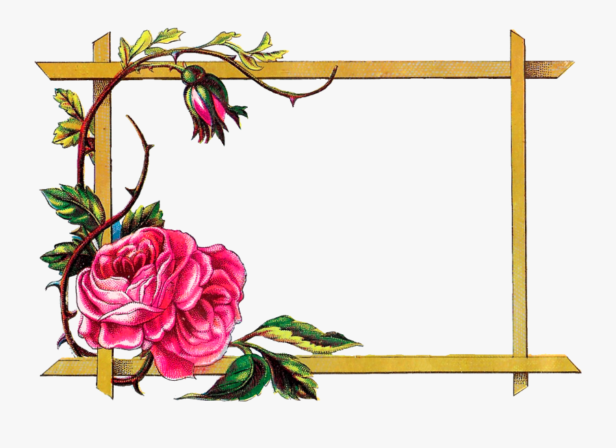Flower Frame Border Design, Transparent Clipart