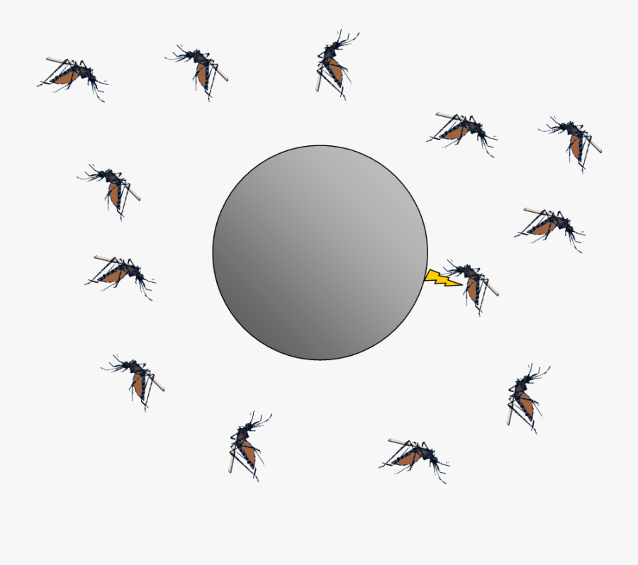 Bug Zappers And Electrostatics The Smoluchowski Diffusion - Flying Transparent Insect Mosquito Mosquito Png, Transparent Clipart