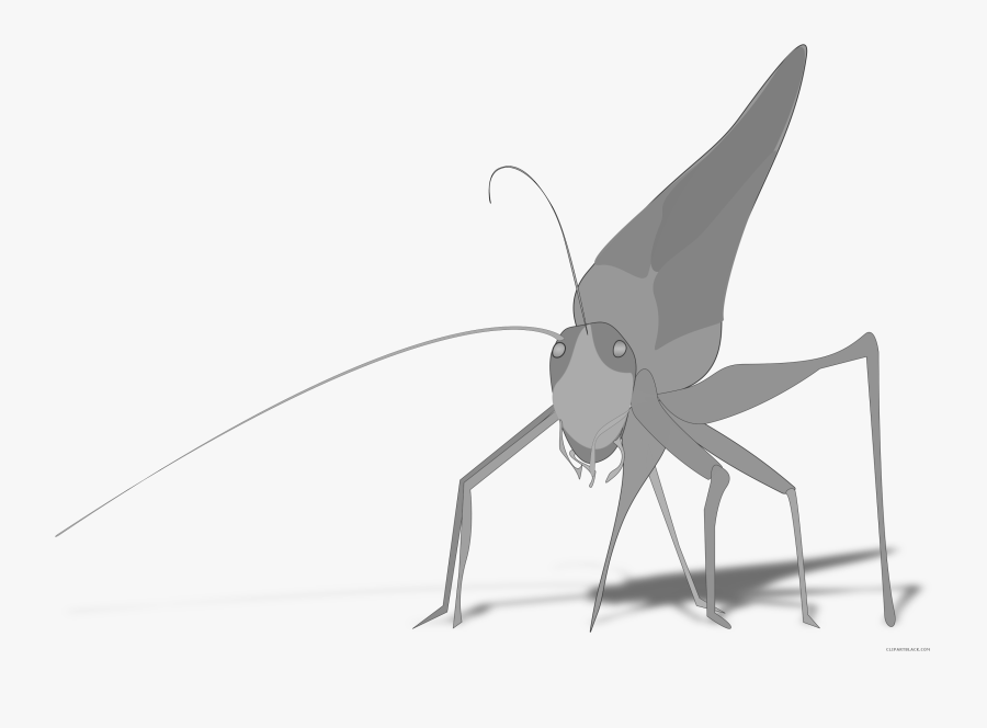 Grasshopper Animal Free Black White Clipart Images - Grasshopper Clipart, Transparent Clipart