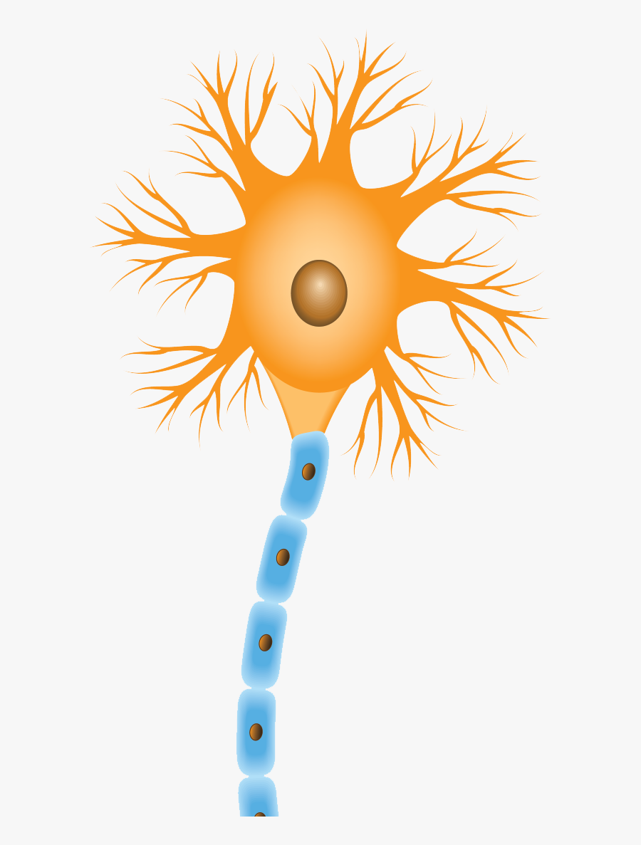 Transparent Ants Never Sleep In Their Lifetime Clipart, Transparent Clipart