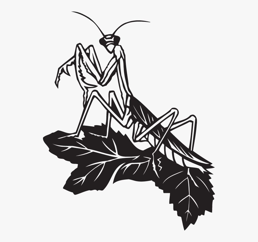 Praying Mantis Stencil, Transparent Clipart