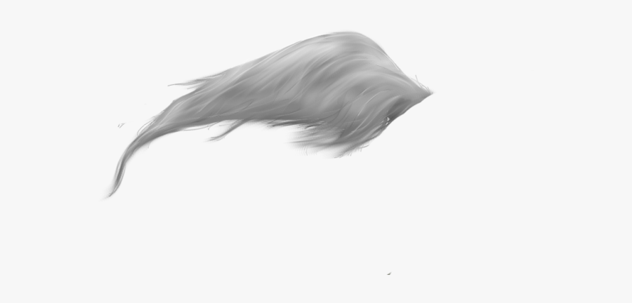 Tail Png - White Horse Tail Png, Transparent Clipart