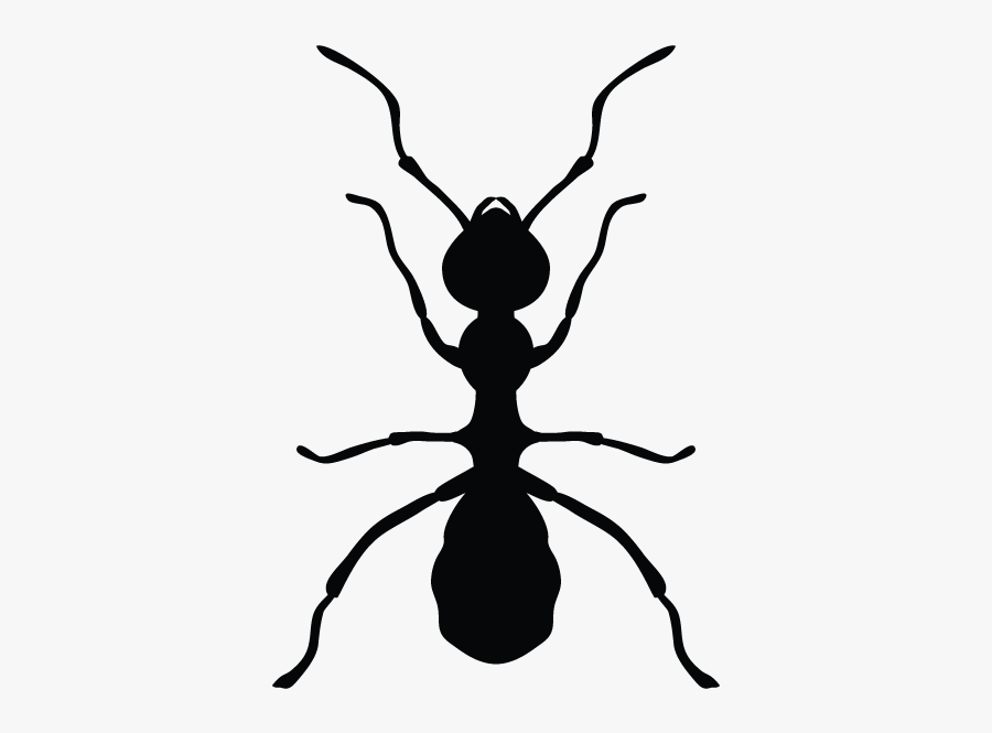 Ants In Minnesota Homes And Offices - Pest Cantrol Ant Logo Hd, Transparent Clipart
