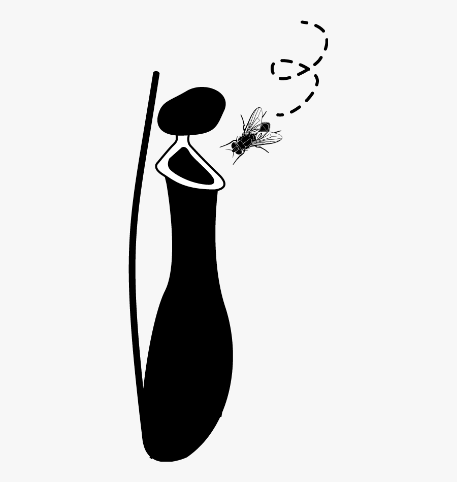 Illustration, Transparent Clipart