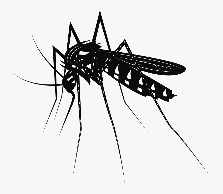 Mosquito - Mosquito Black And White Png, Transparent Clipart