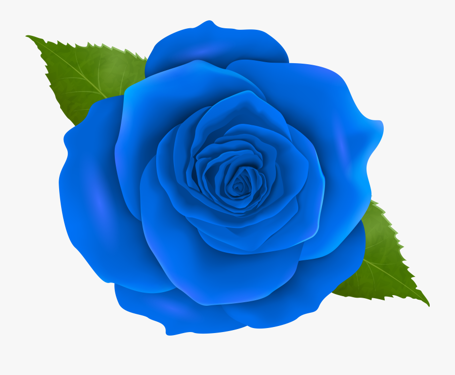 Blue Rose Transparent Png Clip Artu200b Gallery Yopriceville, Transparent Clipart