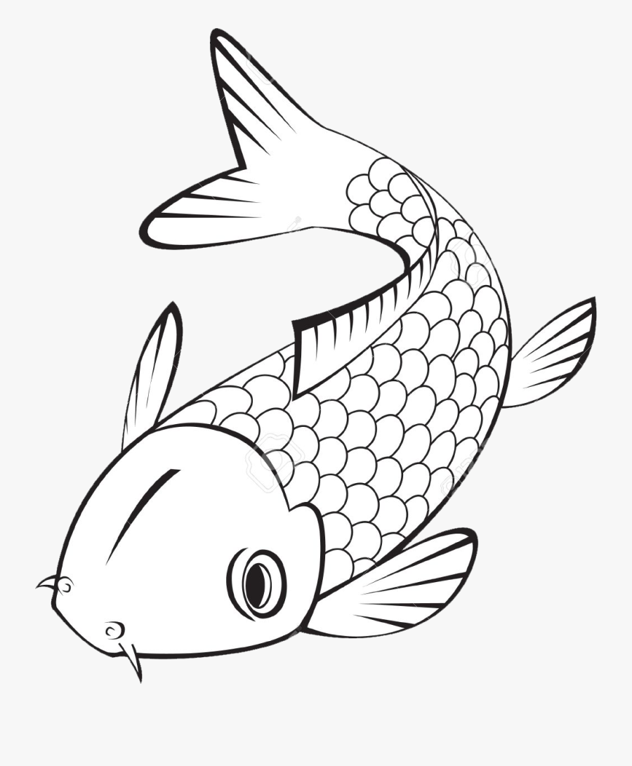 Koi Fish Clipart Black And White - Easy Carp Drawing, Transparent Clipart