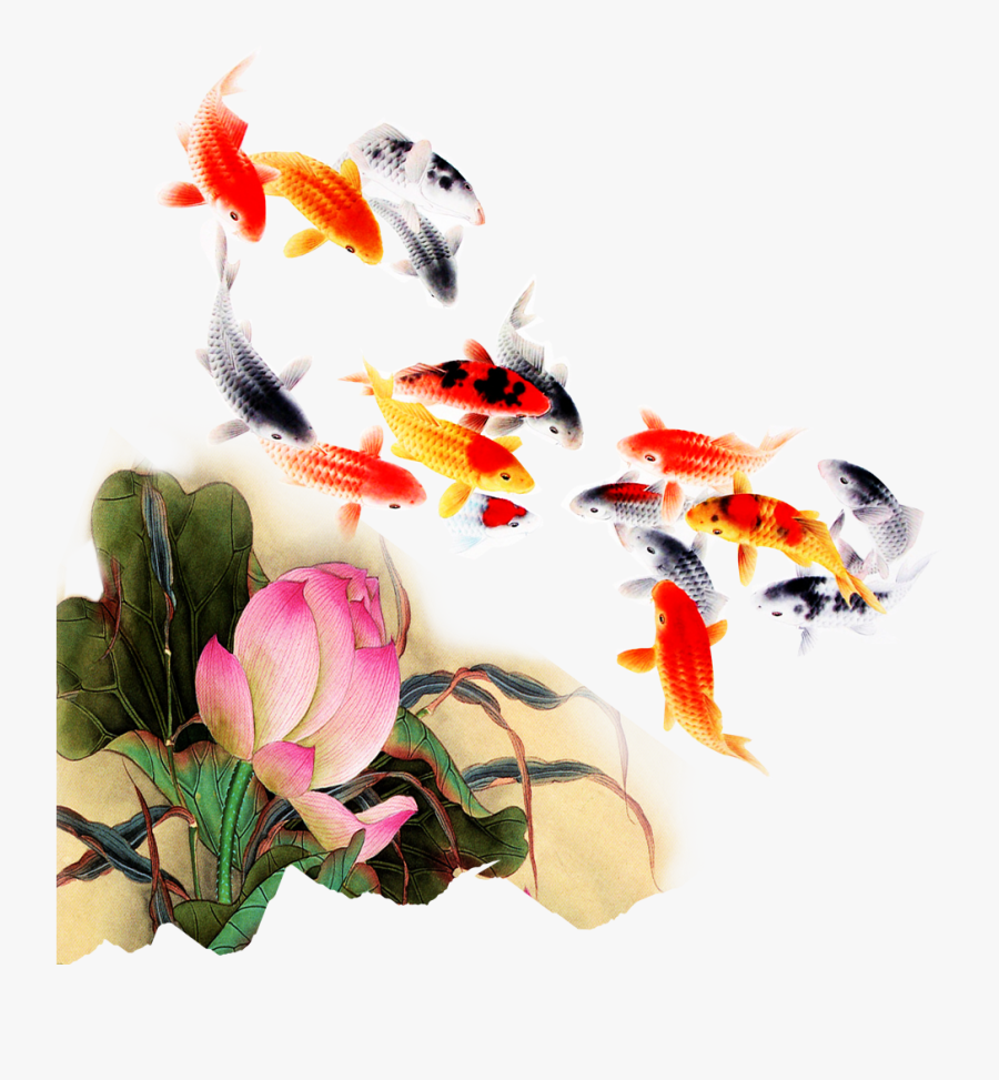 Computer File Kam Transprent Png Petal Organism - Transparent Koi Fish Watercolor, Transparent Clipart