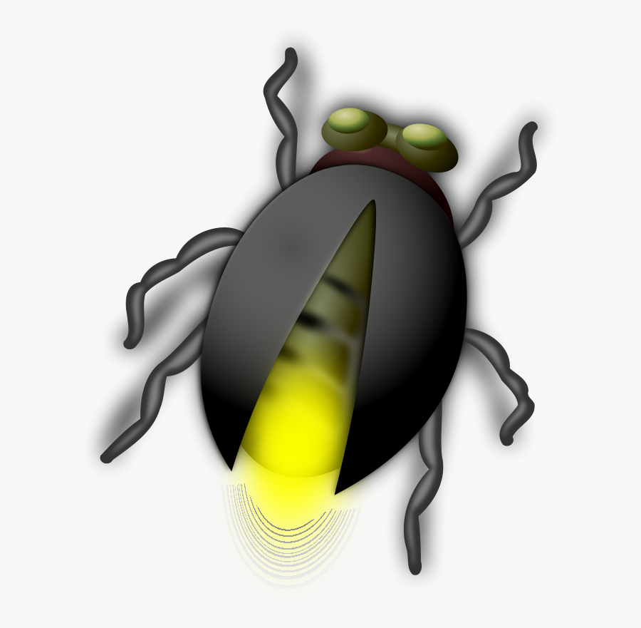 Lightning Bug Buddy - Bug Clip Art, Transparent Clipart