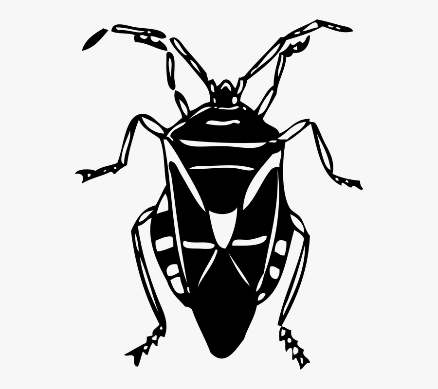 Johnny Automatic Bug - Bug Clip Art Black And White, Transparent Clipart