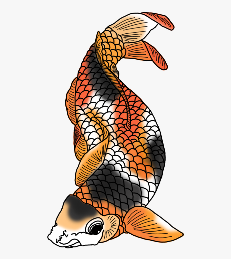 Black White Red Orange Koi Fish - Koi Fish Drawing Color, Transparent Clipart
