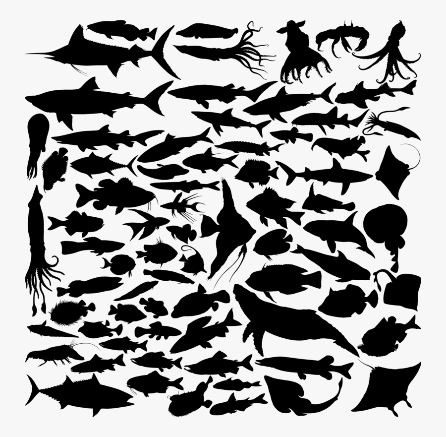 Clam Clipart Marine Biome - Ocean Sea Creatures Silhouette, Transparent Clipart