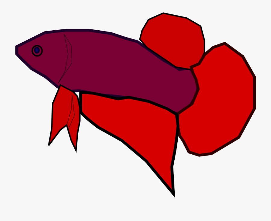File - Betta Splendens - Svg - Siamese Fighting Fish - Siamese Fighting Fish, Transparent Clipart