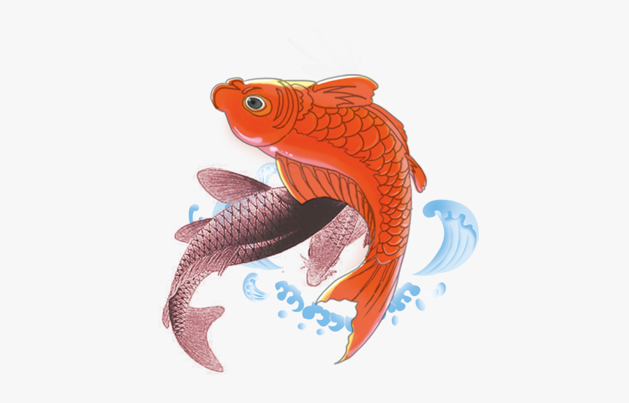 Clip Art Koi Carps Fish, Transparent Clipart