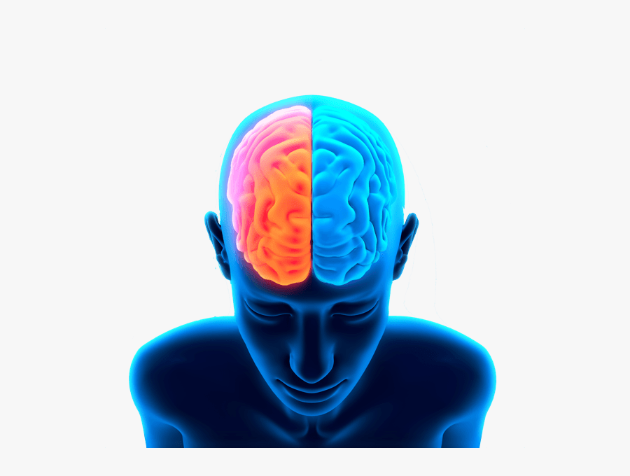 Brain Head - Hot And Cold Brain, Transparent Clipart