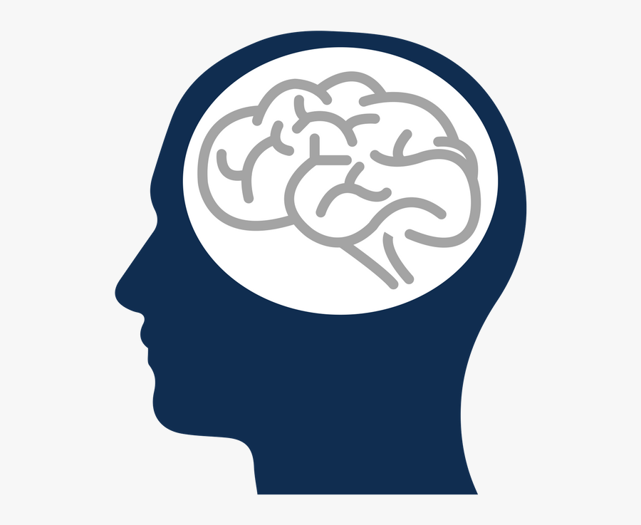 Person And Brain - Emotional Brain And Rational Brain, Transparent Clipart