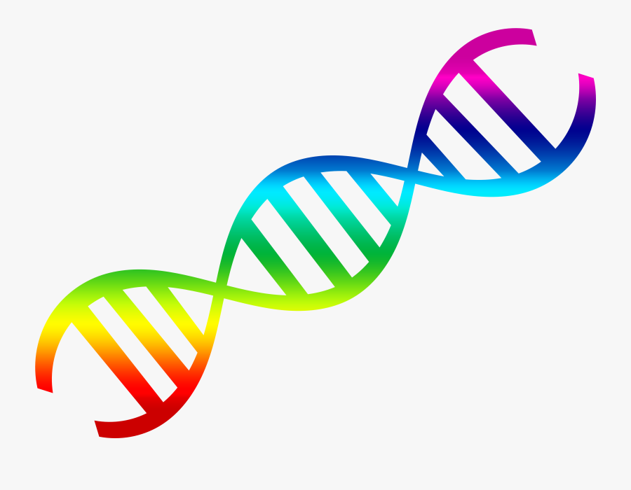 Steam Clipart Math - Dna Png, Transparent Clipart
