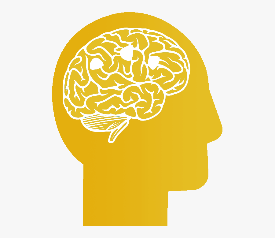 Neuroquant Brain Development Logo Transparent, Transparent Clipart