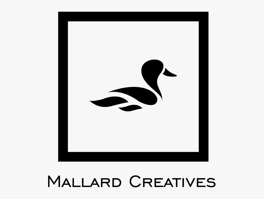 Clipart Water Mallard Duck - Duck, Transparent Clipart