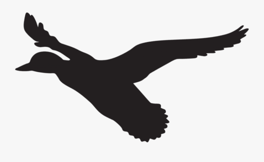 Flying Duck Silhouette Png , Png Download - Flying Duck Clip Art, Transparent Clipart