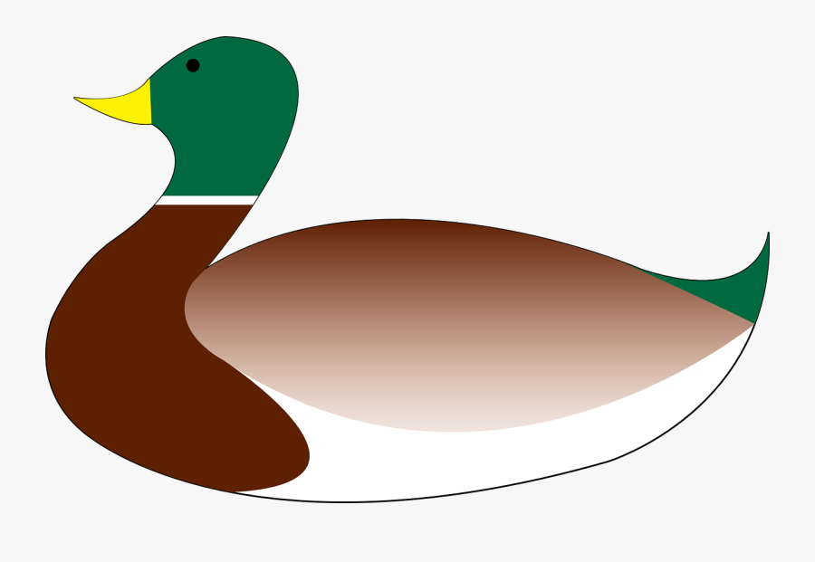 Mallard, Duck, Bird, Waterfowl, Swim, Avian, Wildfowl - Pato Nadando Png, Transparent Clipart