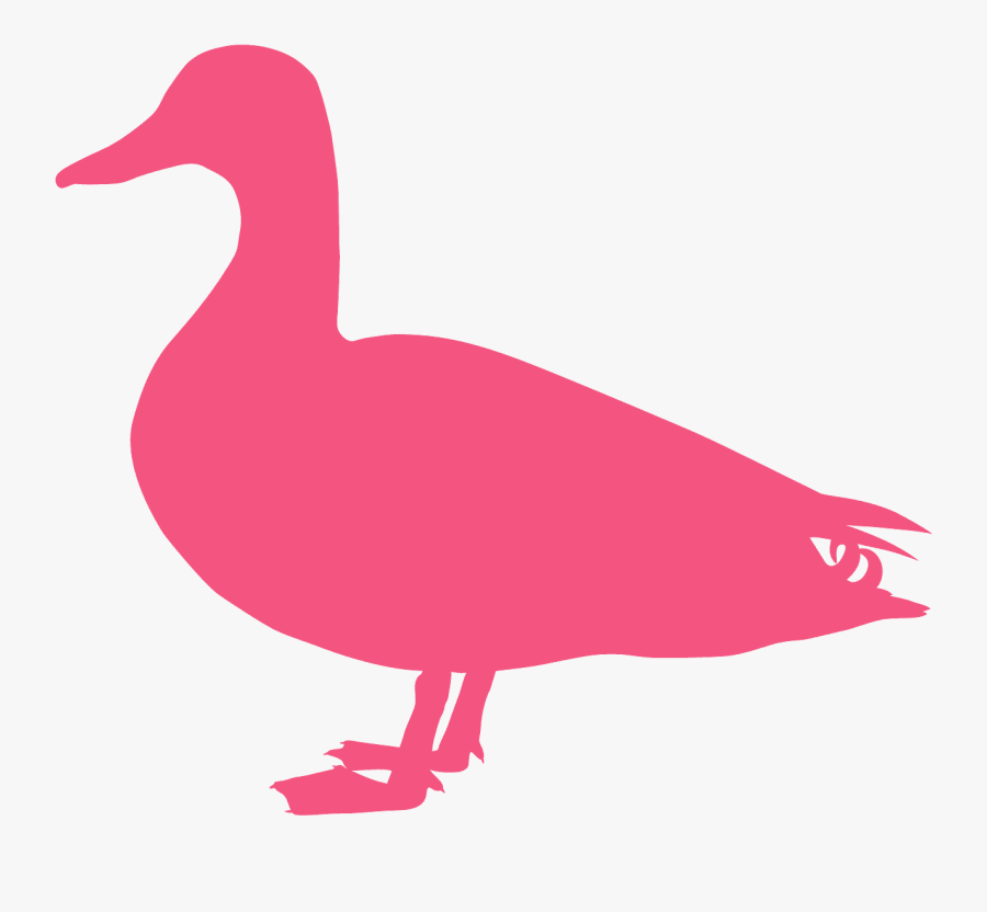 Duck, Transparent Clipart