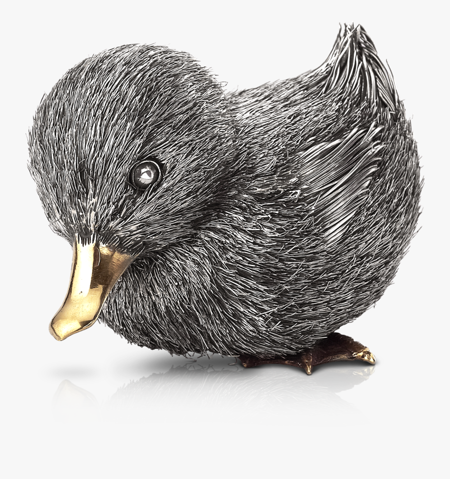 Transparent Baby Duck Clipart Black And White - Mallard, Transparent Clipart