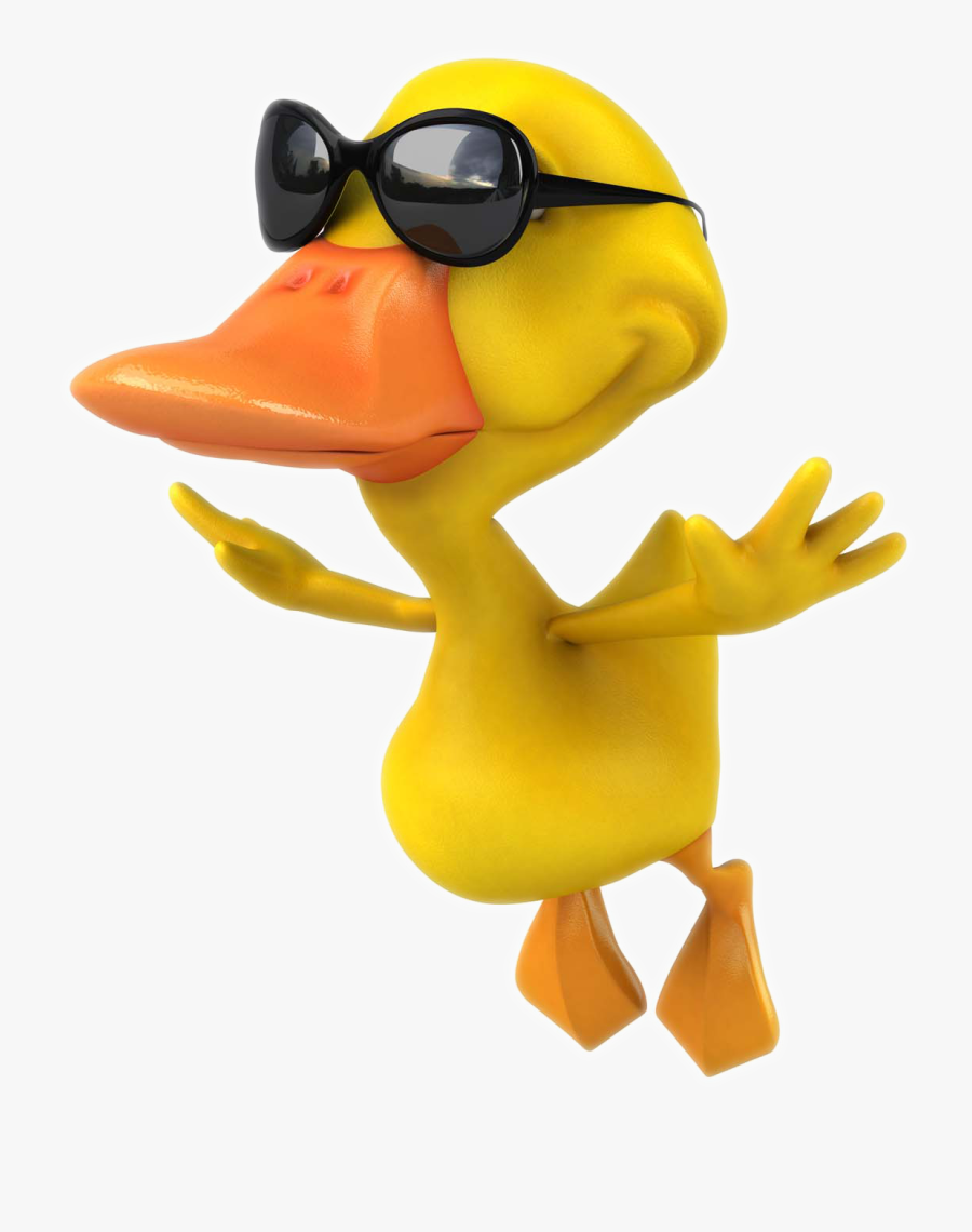 Pictures Photography Mallard Duck Cartoon Stock Clipart - Duck In Shades, Transparent Clipart
