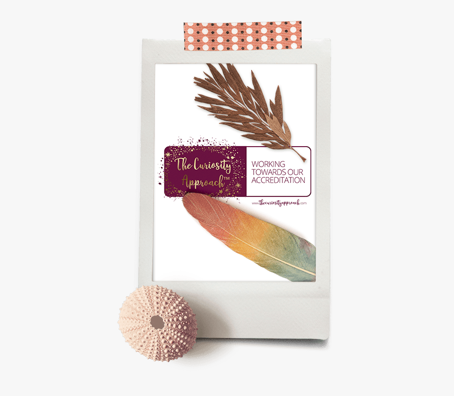 Curiosity Approach Nursery Stalybridge - Paper, Transparent Clipart