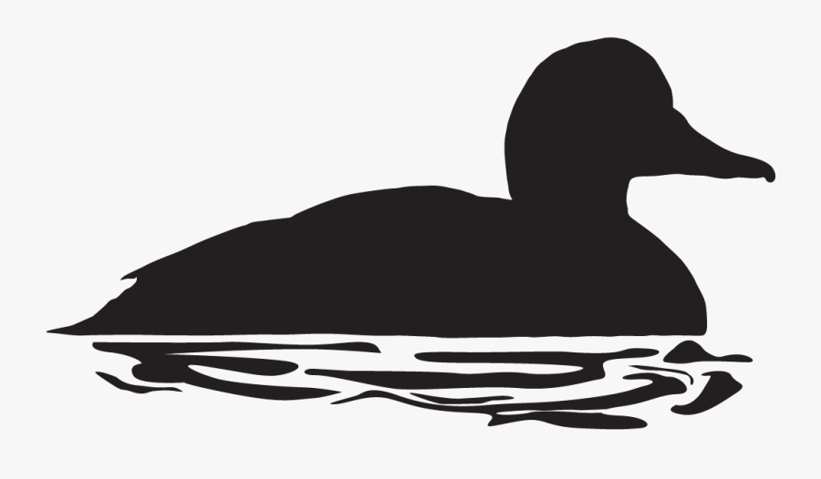 Clip Art Bufflehead Overview All About - Eider Duck Silhouette, Transparent Clipart
