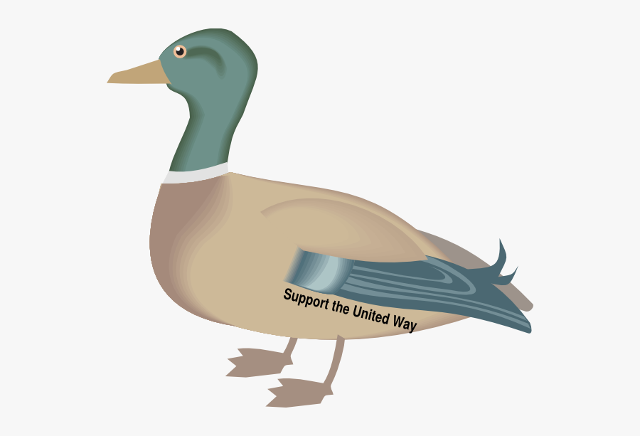 Duck Clip Art, Transparent Clipart