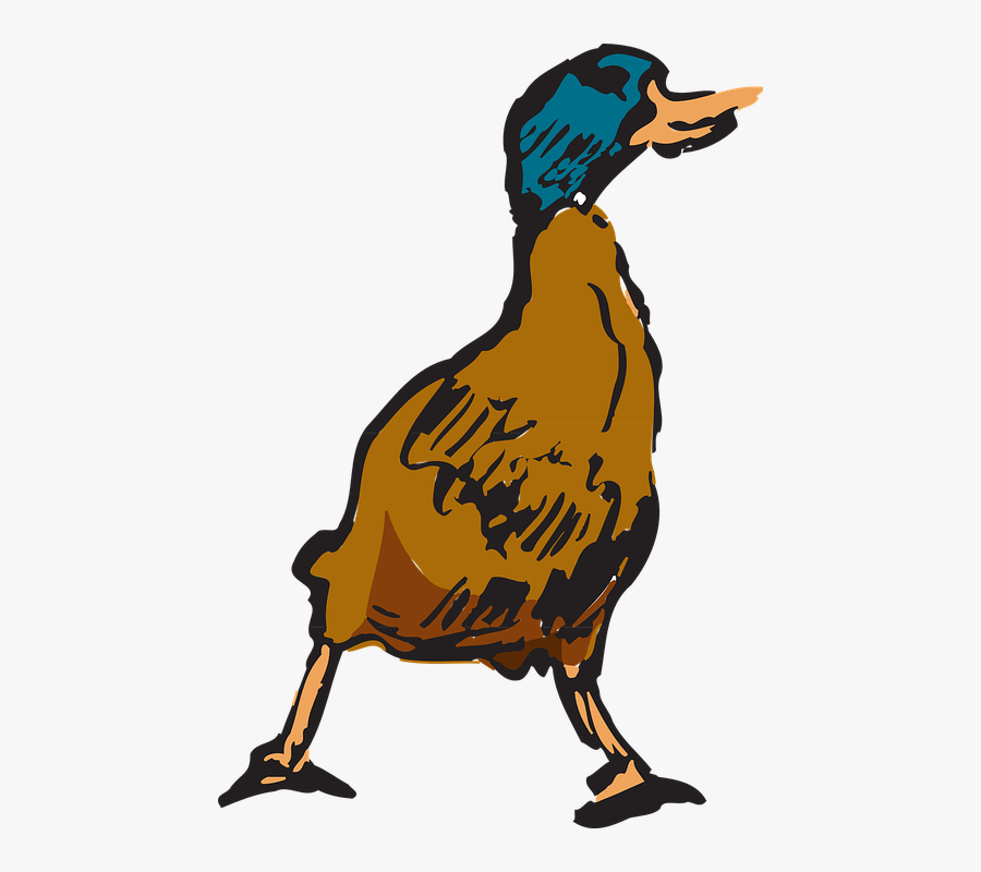 Bird, Duck, Style, Walking, Animal, Feathers, Mallard - Clip Art, Transparent Clipart
