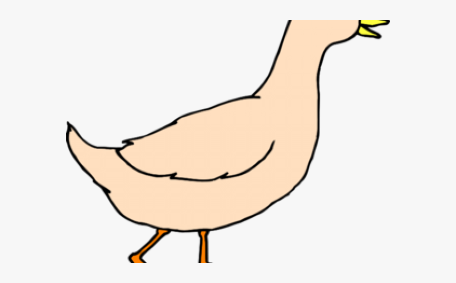 Duck Clipart, Transparent Clipart