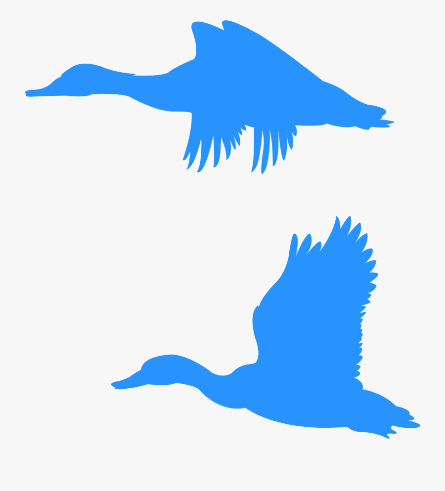 Blue Duck Silhouette, Transparent Clipart