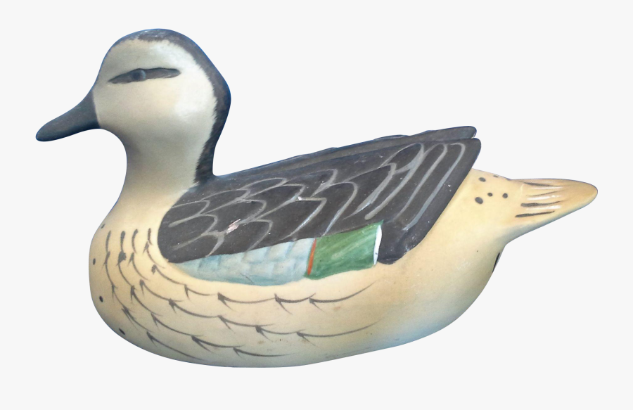 Transparent Mallard Png - Mallard, Transparent Clipart
