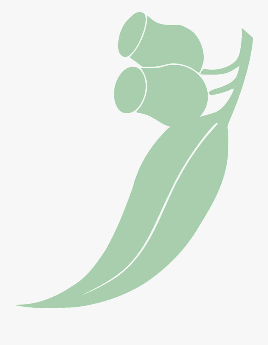 Clip Art Eucalyptus Leaves Clipart - Gum Leaf Clip Art, Transparent Clipart