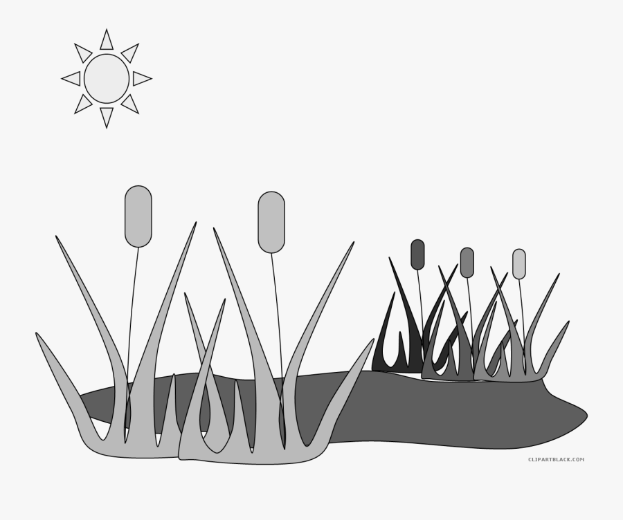 Fish In A Pond Clipart Black And White - Frog Pond Clipart, Transparent Clipart