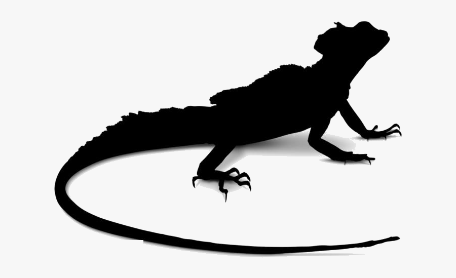 Transparent Lizard Clipart, Lizard Png Image - Lizard Png, Transparent Clipart