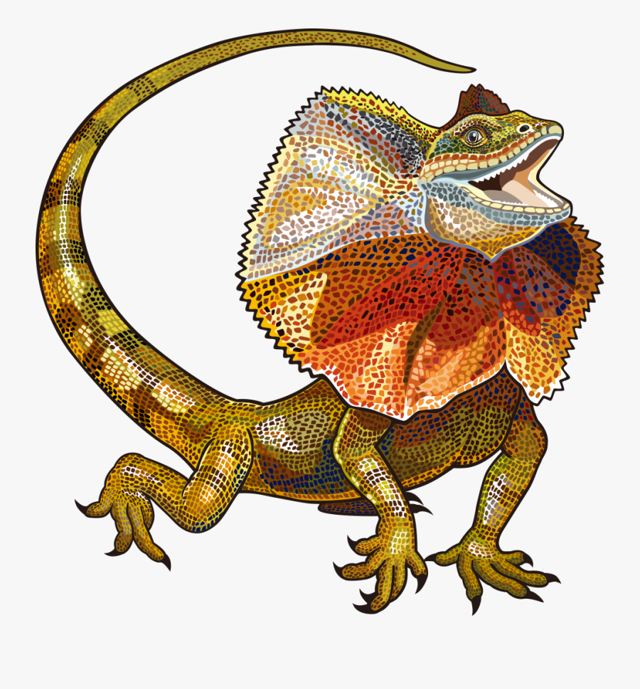 Lizard Vector Free Download Image Clipart - Frill Neck Lizard Drawing, Transparent Clipart