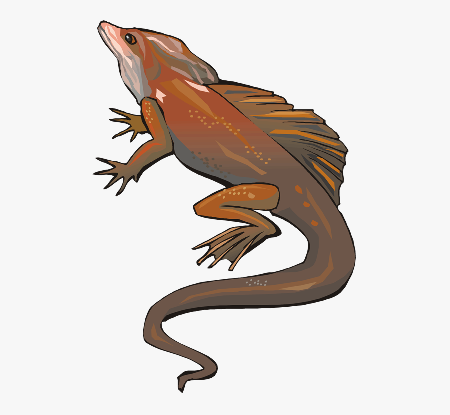 Lizard, Transparent Clipart
