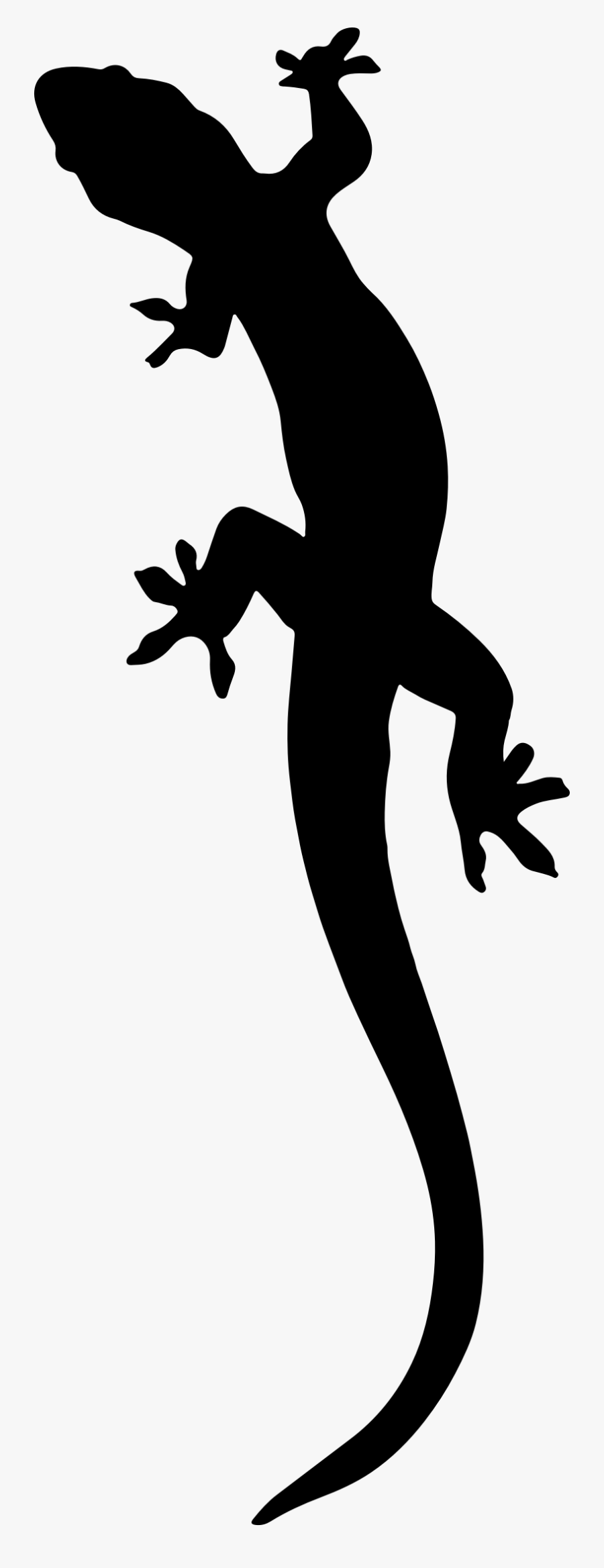 Lizard Silhouette - Salamander Silhouette, Transparent Clipart
