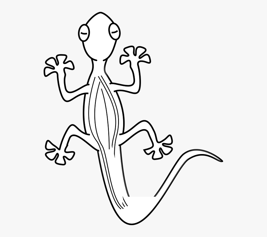 Lizard, Gekko, Reptile, Animal, Top, White, Sit - Lizard Clipart Black And White, Transparent Clipart