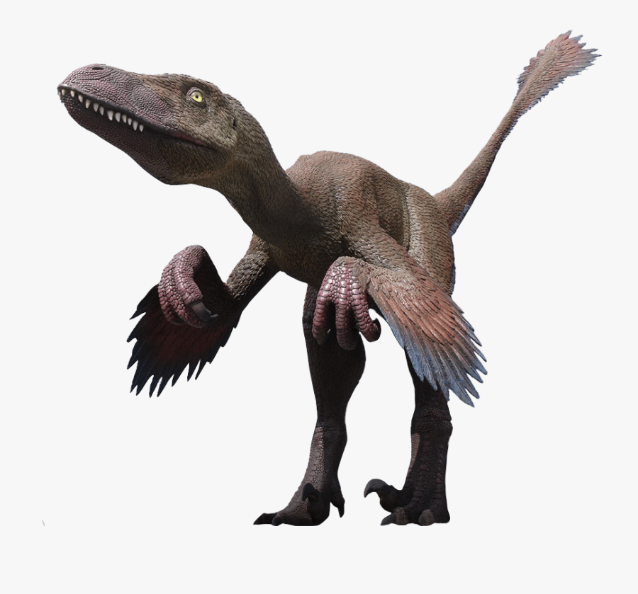 Velociraptor Png Clipart - Deinonychus Utahraptor, Transparent Clipart
