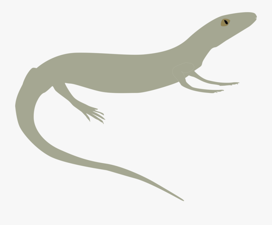 Reptile,vertebrate,tail - Monitor Lizard, Transparent Clipart